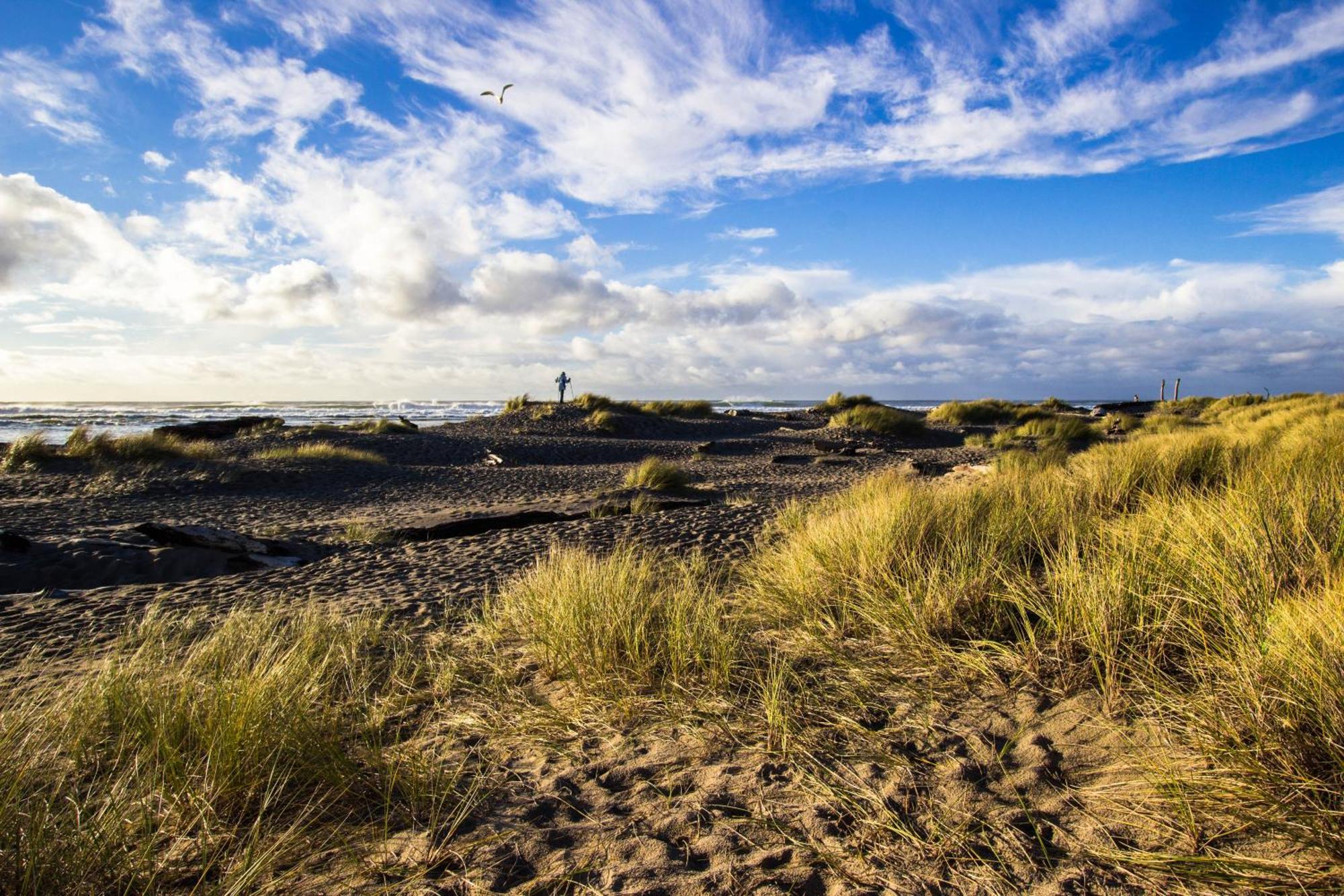 Waters Edge Lejlighed Salishan Beach Værelse billede